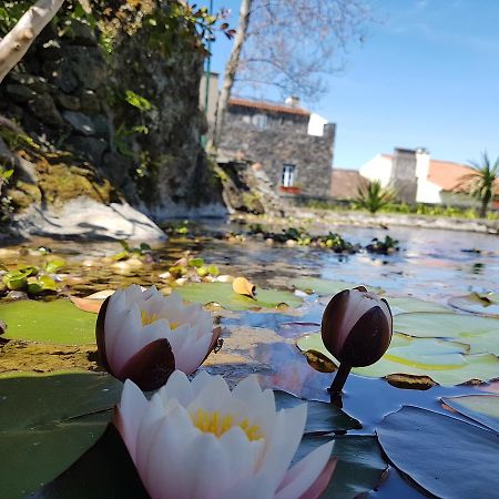 Stonewood Lodge Al São Vicente Ferreira Dış mekan fotoğraf