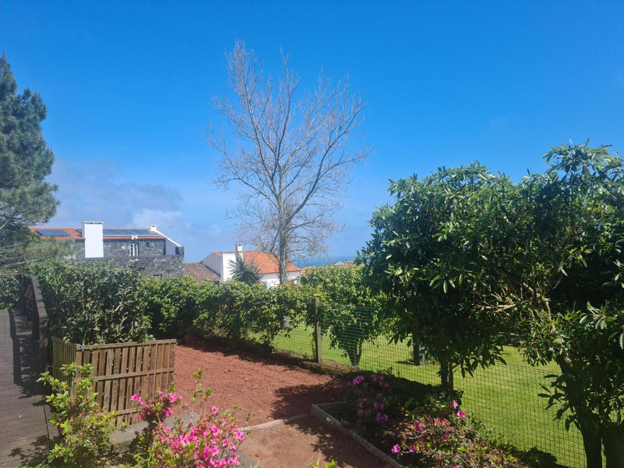 Stonewood Lodge Al São Vicente Ferreira Dış mekan fotoğraf