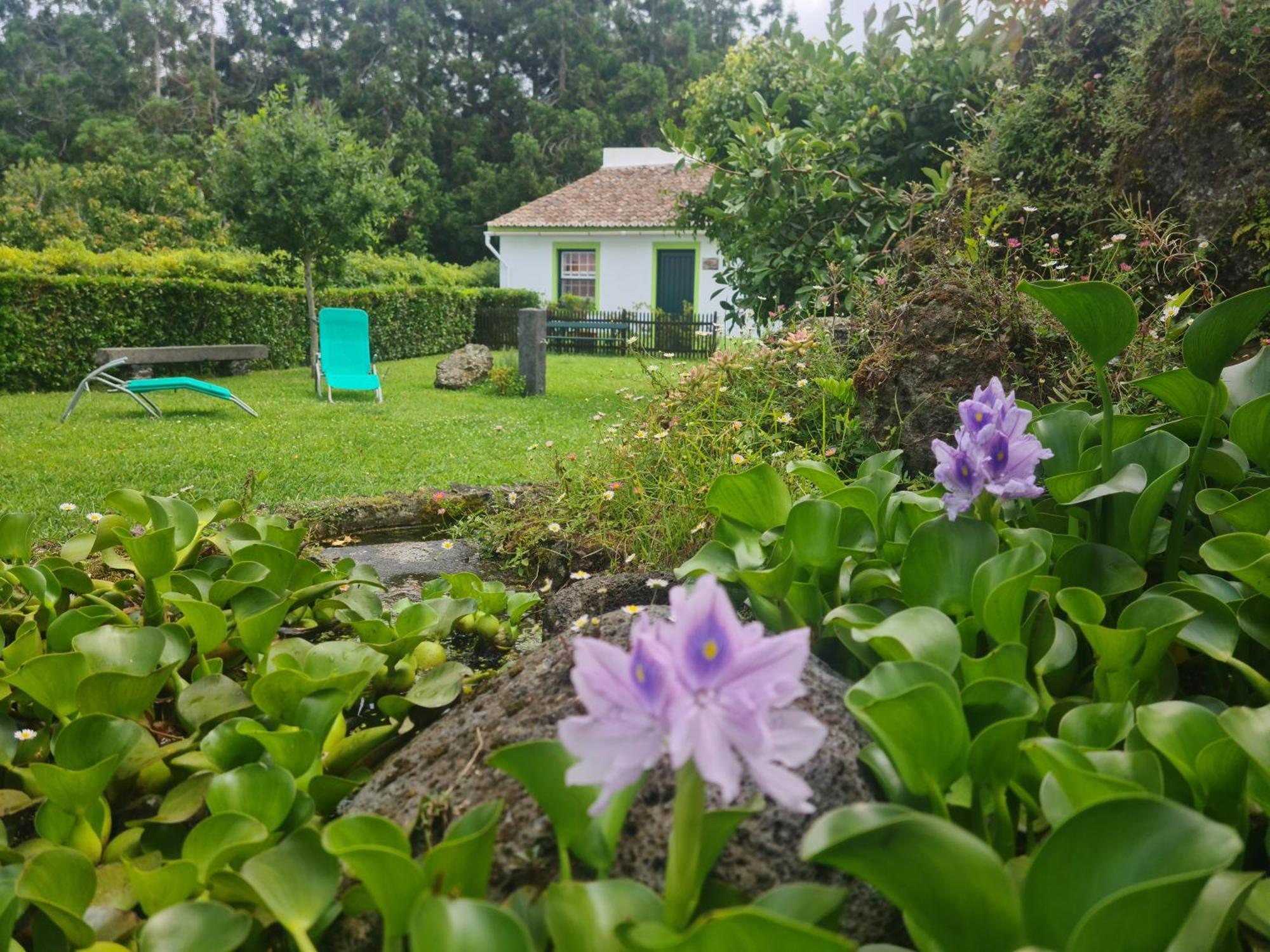 Stonewood Lodge Al São Vicente Ferreira Dış mekan fotoğraf