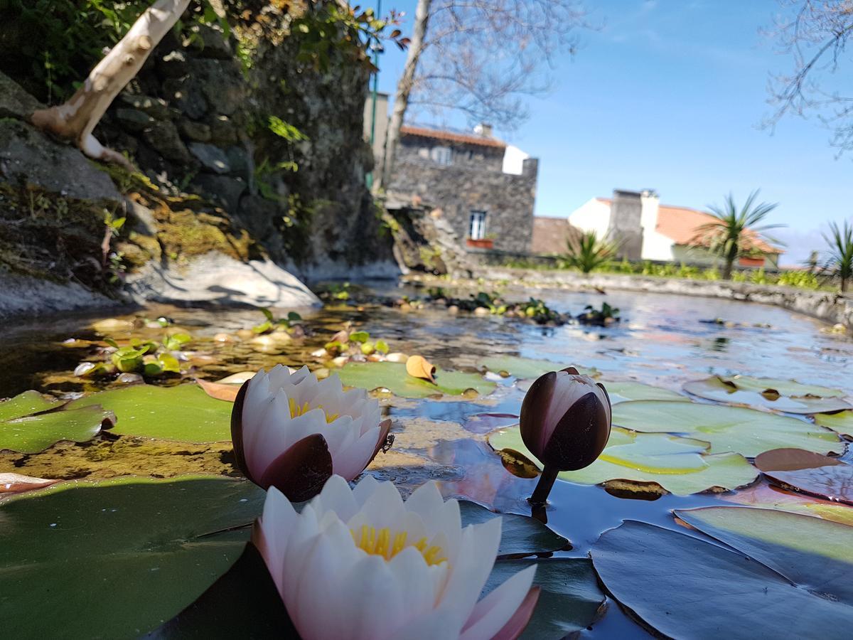 Stonewood Lodge Al São Vicente Ferreira Dış mekan fotoğraf