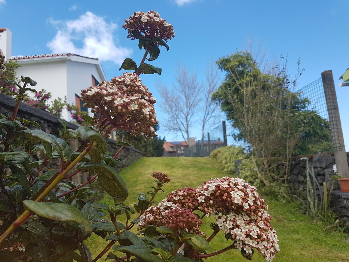 Stonewood Lodge Al São Vicente Ferreira Dış mekan fotoğraf